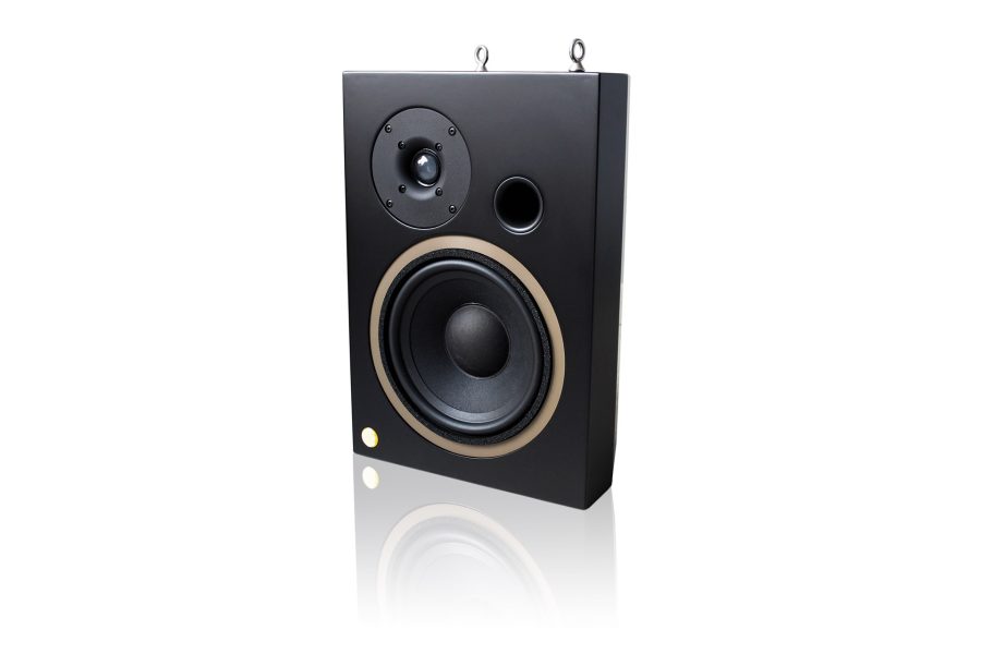 Professional Hi-Fi & Home Cinema Loudspeakers SYNERGY, Front